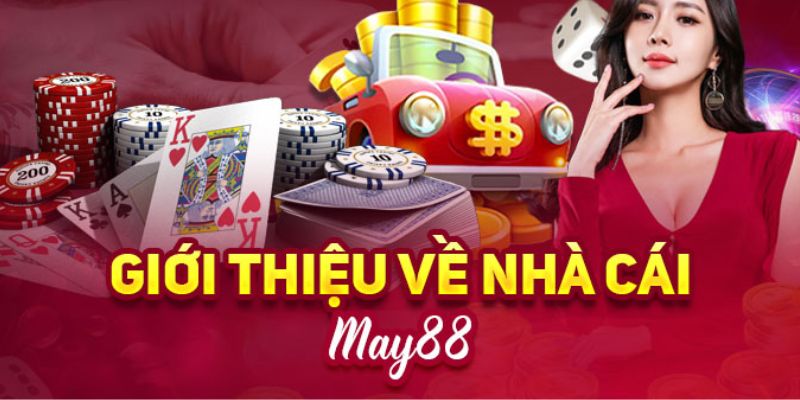 Tại sao nên chọn cá cược đá gà tại Công ty Oke88 Gaming? - Oke88